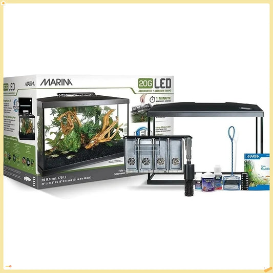 High-concerned Complete Aquarium Kit With LED