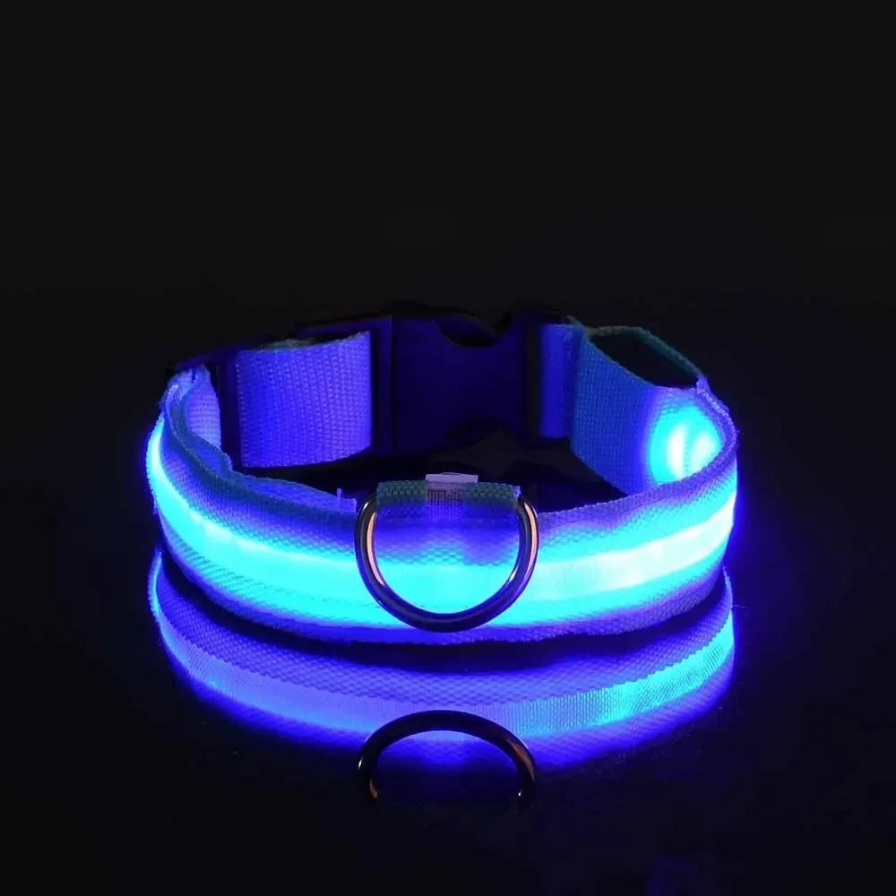 CN Sichuan Zhejiang NylonLEDUltraBrightReflectiveGlowInTheDarkNightSafetyDogLeash Collar