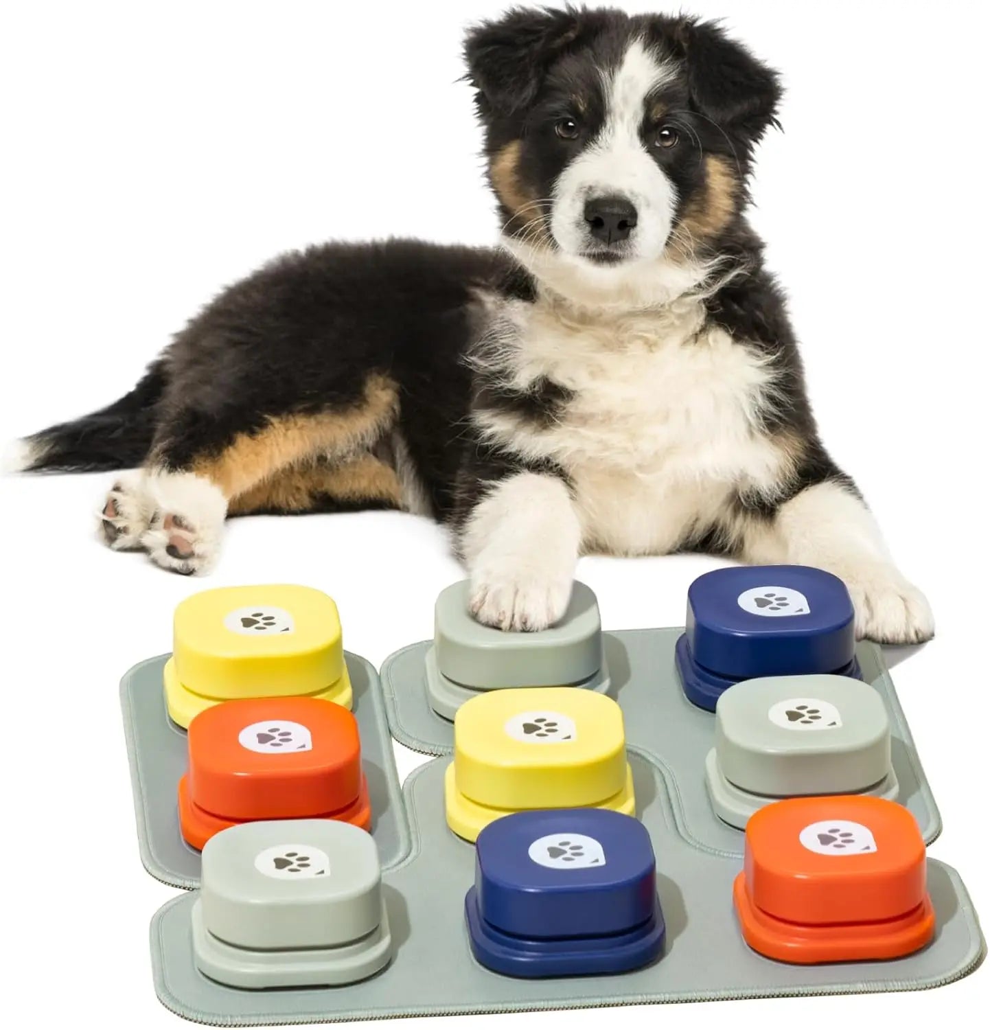 MEWOOFUN Canine Talking Buttons With Rubber Mat Recordable Communication SystemForTraining