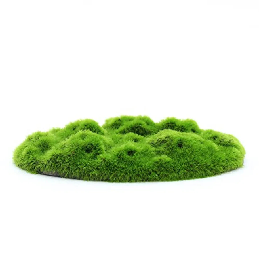Hign-Concerned AquaFlora Resin Decoration With Glosso Seeds Moss Patch EcoFriendly