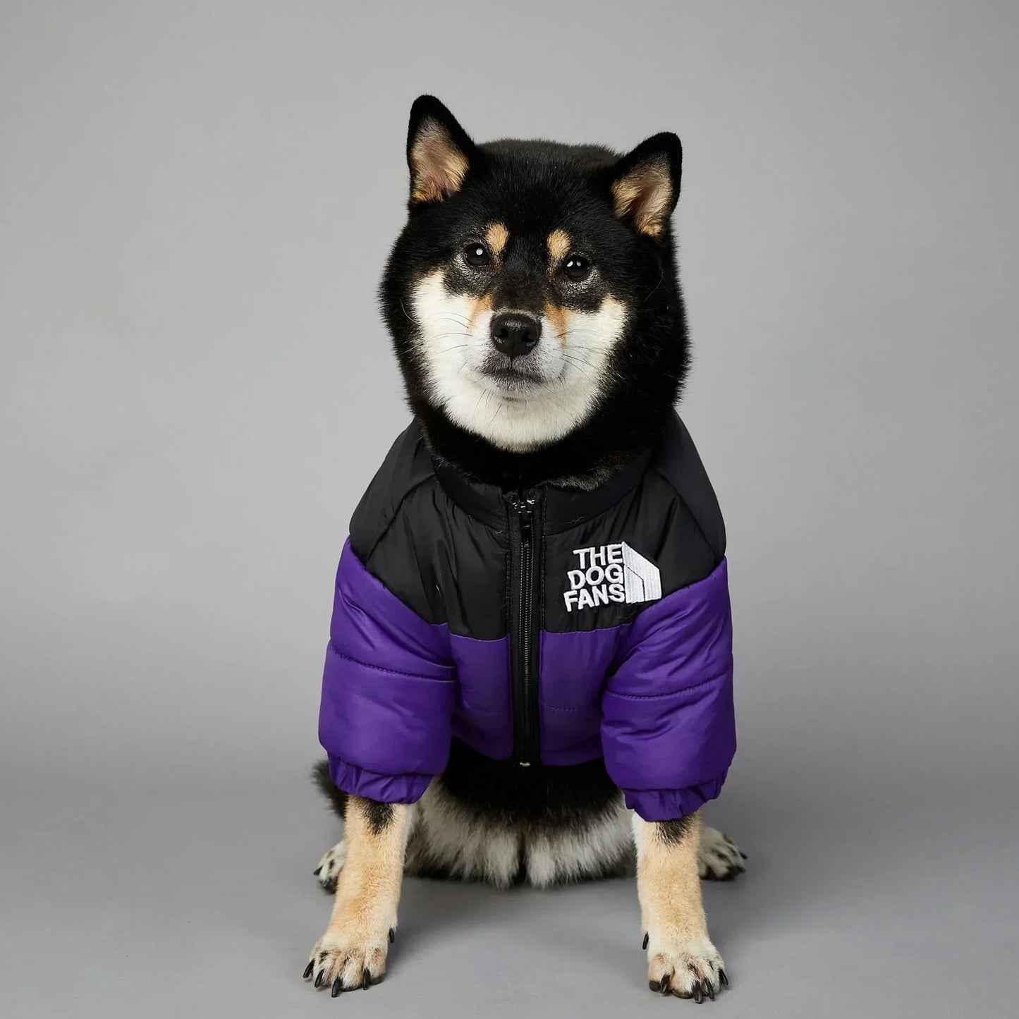 CN Zhejiang Weatherproof SuperiorQuality WintryWeatherproofing Dog Down Jacket Thermal Coat