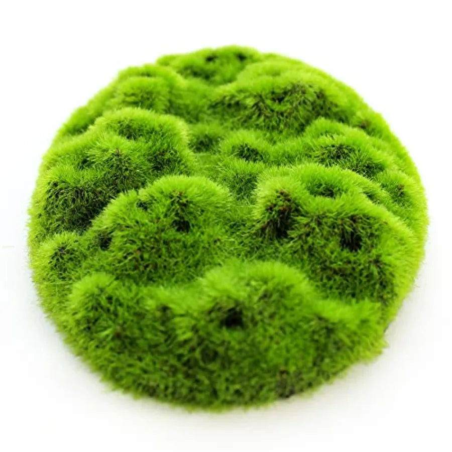 Hign-Concerned AquaFlora Resin Decoration With Glosso Seeds Moss Patch EcoFriendly