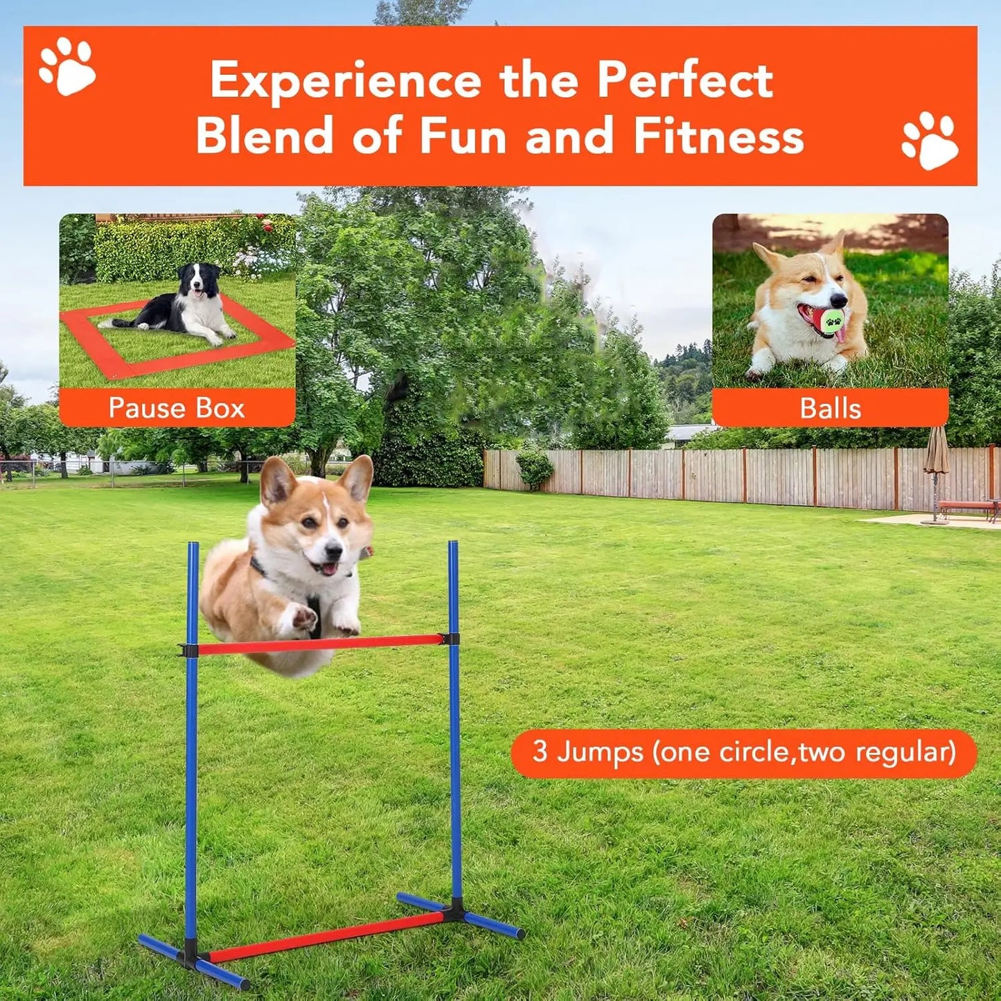 HiMISSH 87Piece Canine Agility Training System Equipment Including Tunnel Obstacles