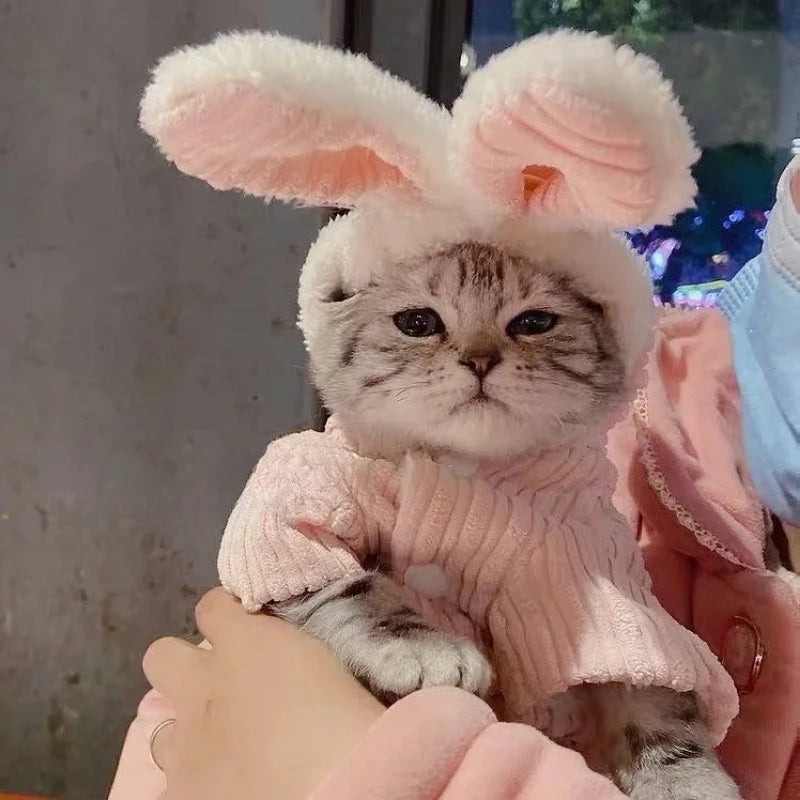 CN AllSeasonCartoonBunny KittensCatCoat PremiumCottonFabric AllWeatherPetWear BreathableDesign CozyWarmth