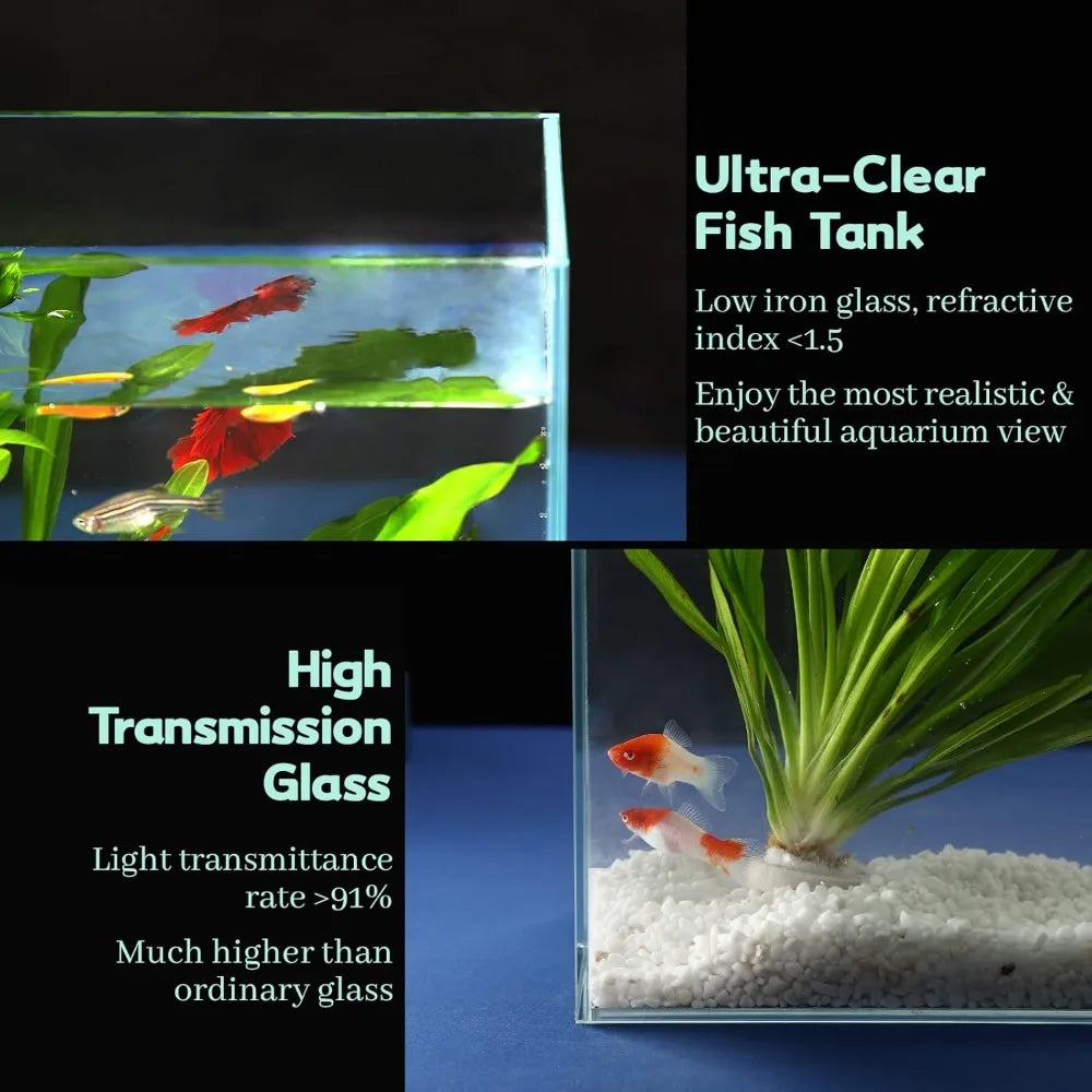 TIFICY Rimless Low Iron Glass Aquarium Betta Tank For Nano Shrimp And Goldfish Quality