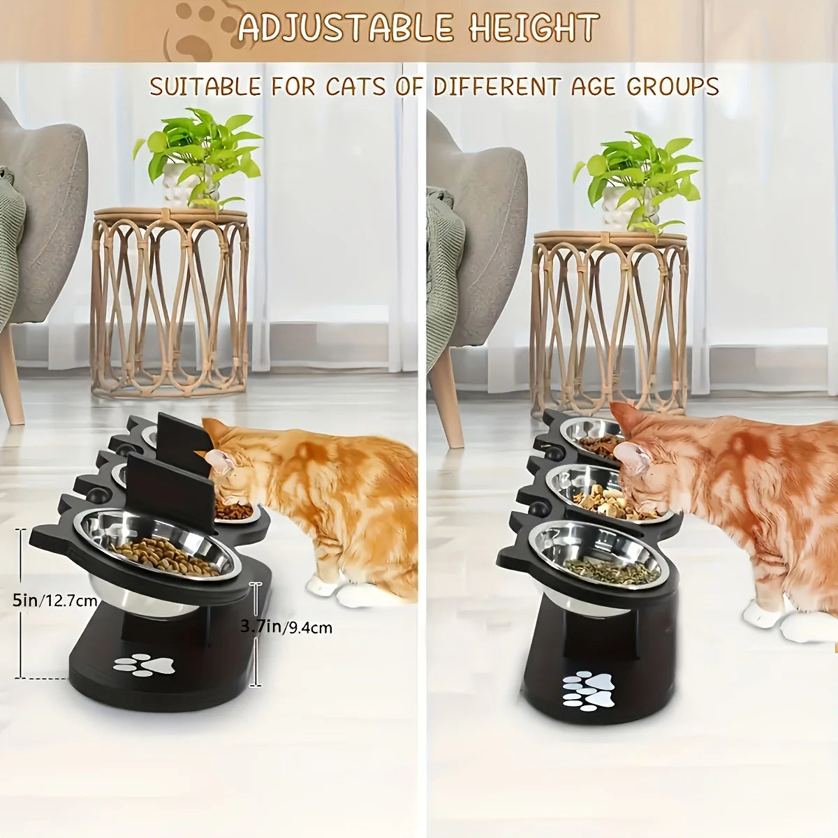 Hign-concerned Elevated Tilted Cat Bowls Set With Wooden Stand And Anti Vomiting Stainless Steel Bowls