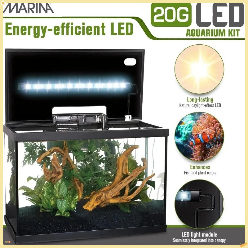 High-concerned Complete Aquarium Kit With LED