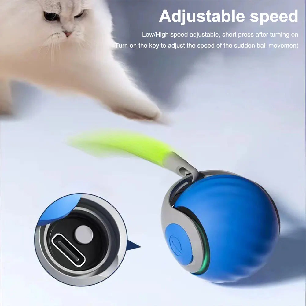 Guangdong Rechargeable Automatic Interactive Dog Toy Ball for Pets Entertainment