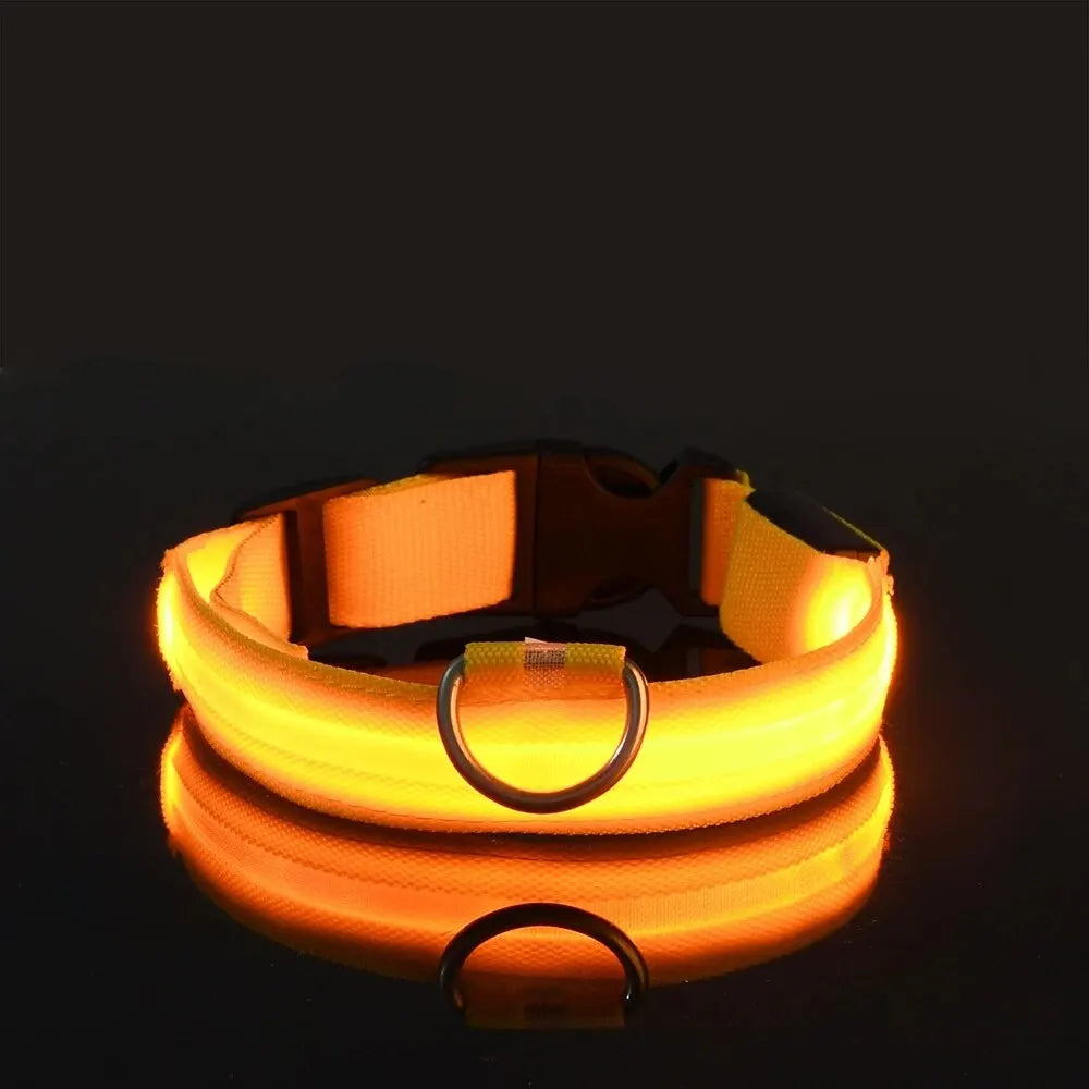 CN Sichuan Zhejiang NylonLEDUltraBrightReflectiveGlowInTheDarkNightSafetyDogLeash Collar