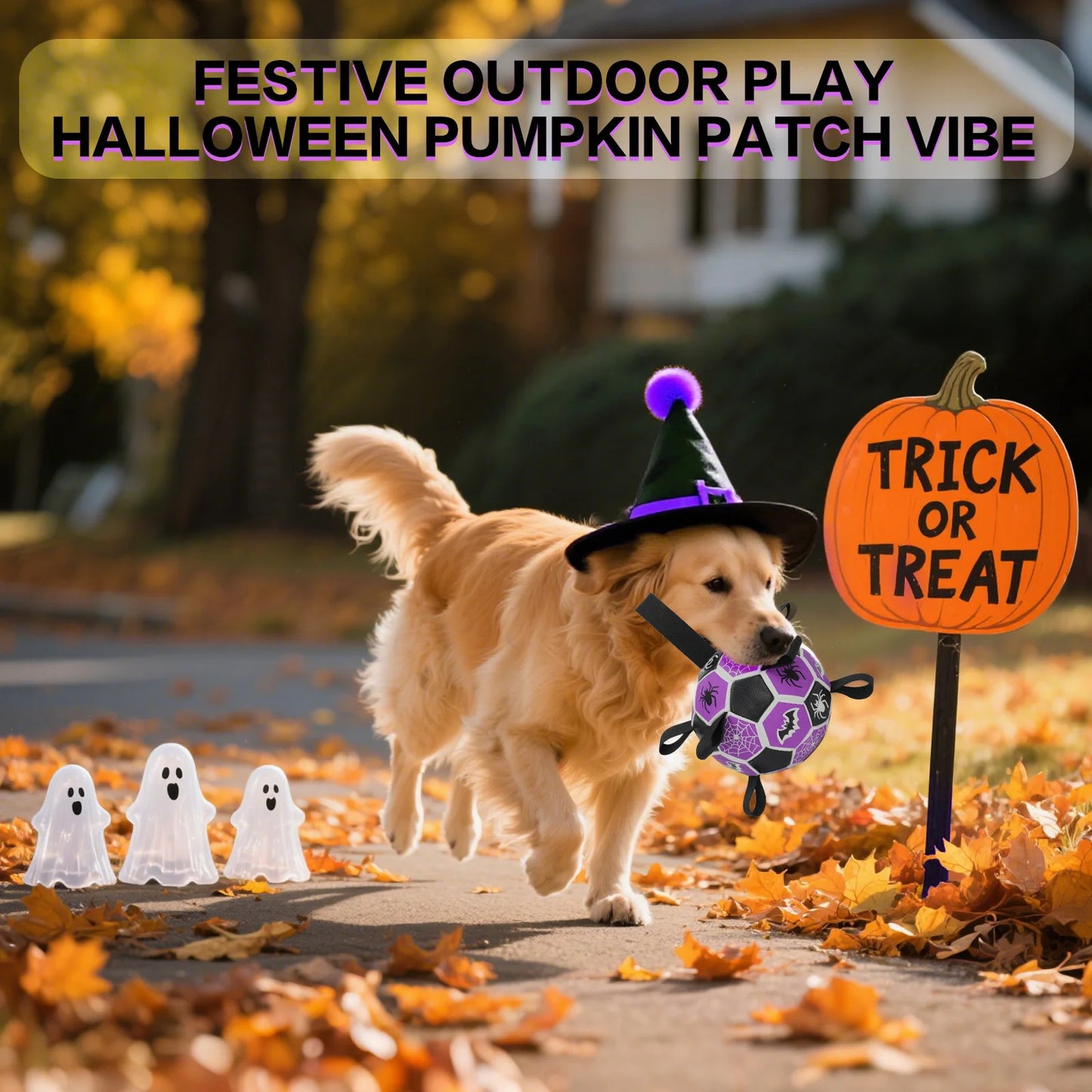 Hign Concerned Halloween Football Dog Toy Ball Durable Bat Spider Pattern Chewing Ball Toy For Pets
