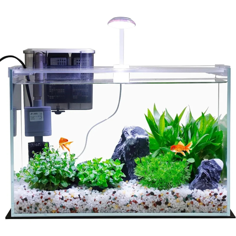 TIFICY PremiumGrade Glass Betta Aquarium Starter Kit With SelfCleaning FiltrationSystem