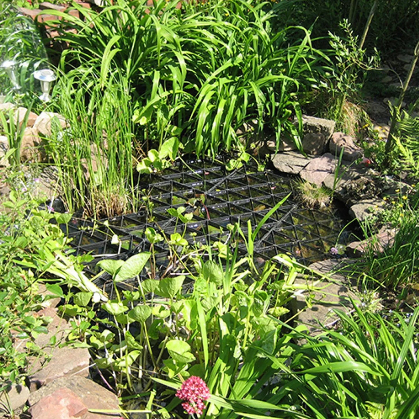 20 Pcs Pond Guard Net Protector Hexagonal Pond Protective Net Hexagonal Floating Protective Net With Connecting Hook For Protect