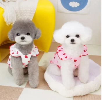 Jiangsu StrawberryPattern FourLeggedDog Dress Summer Pet Accessories SuspenderSkirt