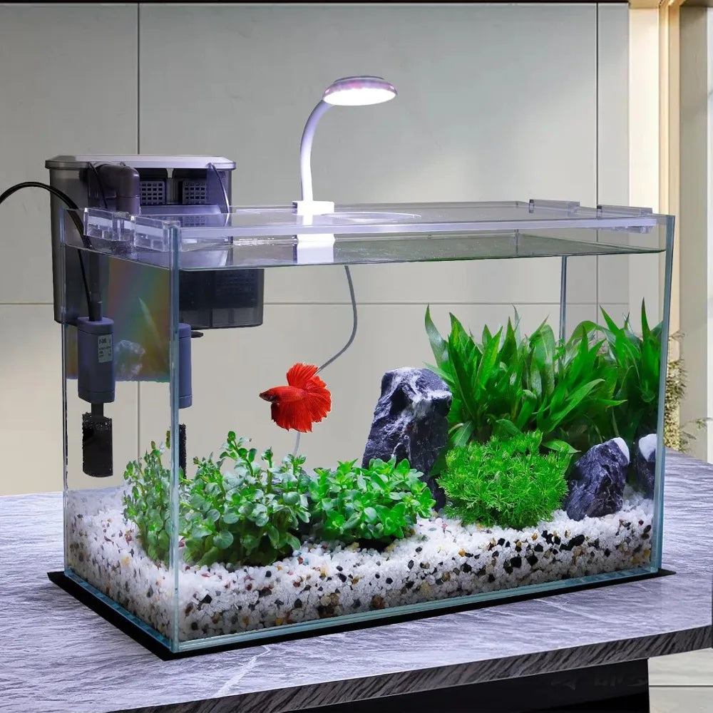 TIFICY PremiumGrade Glass Betta Aquarium Starter Kit With SelfCleaning FiltrationSystem