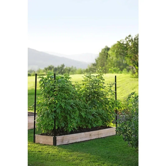 Raised Garden Bed, Raspberry Bed Kit
