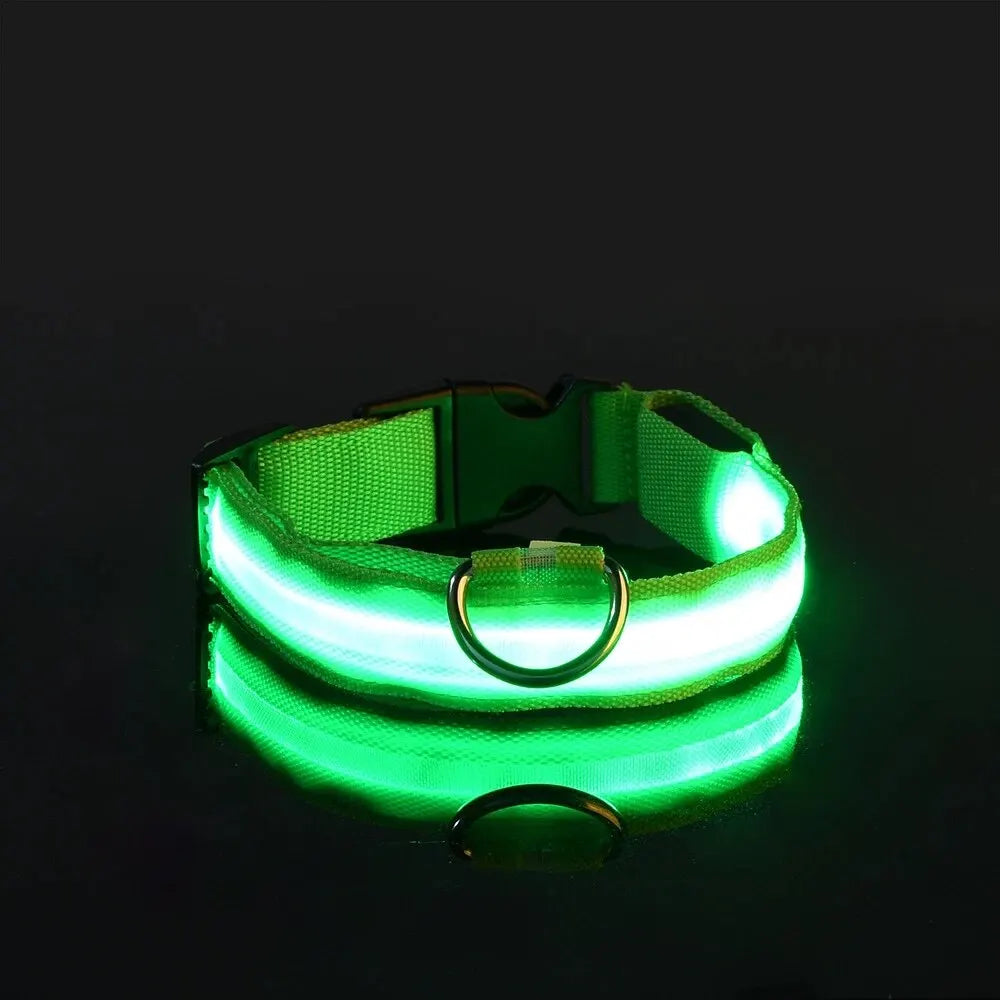 CN Sichuan Zhejiang NylonLEDUltraBrightReflectiveGlowInTheDarkNightSafetyDogLeash Collar